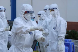 Các y, bác sỹ Trung tâm Y tế thành phố Tuy Hòa, Phú Yên xử lý mẫu xét nghiệm. (Ảnh: Phạm Cường/TTXVN)