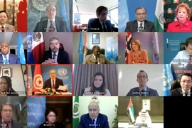Đại diện các nước thành viên Hội đồng Bảo an Liên hợp quốc họp trực tuyến về sự hợp tác giữa Liên hợp quốc và Liên đoàn Arab. (Ảnh: Hải Vân/Vietnam+)