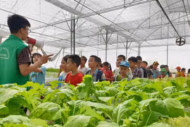 Các em học sinh tham gia trải nghiệm tại khu du lịch Hải Đăng, Thanh Trì. (Nguồn: Kinhtedothi.vn)