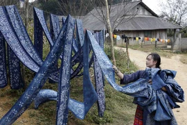 Một hộ dân ở xã Pà Cò, huyện Mai Châu, Hòa Bình phát triển nghề sản xuất vải thổ cẩm. (Ảnh: Trần Việt/TTXVN)
