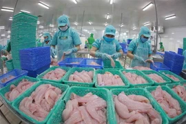 Chế biến thủy sản xuất khẩu. (Nguồn: TTXVN)
