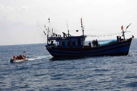 Ảnh minh họa. (Nguồn: TTXVN)