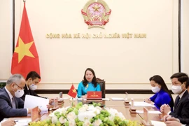 Phó Chủ tịch nước Võ Thị Ánh Xuân điện đàm với Phó Tổng thống nước Cộng hòa Liên bang Nigeria Yemi Osinbajo. (Ảnh: Lâm Khánh/TTXVN)