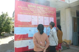 Cử tri xã đảo Hưng Phong (Giồng Trôm, Bến Tre) xem tiểu sử ứng cử viên biểu Quốc hội và đại biểu HĐND. (Ảnh: Công Trí/TTXVN)