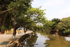 Dịch Diệp Trang - Ngôi làng cổ thuần Việt hơn 1000 năm tuổi 