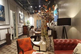 Sáng tạo theo mô hình không gian làm việc chung tại Toong, 8 Tràng Thi, Hà Nội. (Ảnh: Đinh Thuận/TTXVN)