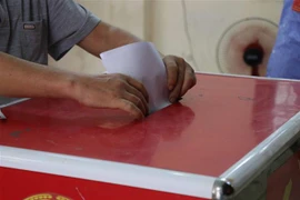 Ảnh minh họa. (Nguồn: TTXVN)