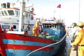 (Ảnh minh họa: Văn Đạt/TTXVN)