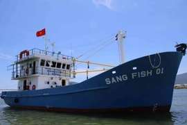 (Ảnh minh họa: Trần Lê Lâm/TTXVN)