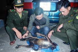 Đối tượng vi phạm Phạm Anh Đức (ở giữa) cùng tang vật. (Ảnh: Võ Dung/TTXVN)