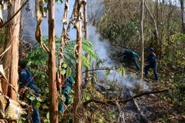 (Ảnh minh họa: Xuân Tư/TTXVN)