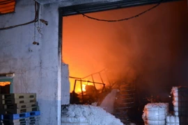 (Ảnh minh họa: Tuấn Anh/TTXVN phát)