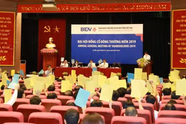 Các cổ đông tham dự đại hội tại BIDV. (Ảnh: CTV)
