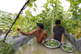 Nhiều gia đình đã thoát nghèo nhờ nguồn vốn chính sách. (Ảnh: CTV)