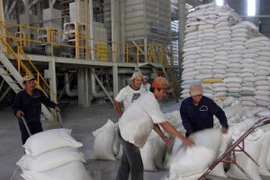 NHNN yêu cầu các ngân hàng cân đối nguốn vốn để cho vay thu mua thóc gạo vụ Đông Xuân 2019. (Nguồn: TTXVN)