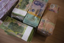 Ảnh minh họa. (Nguồn: Vietnam+)