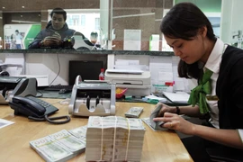 Ảnh minh họa. (Ảnh: T.H/Vietnam+)