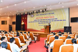 Toàn cảnh hội nghị. (Ảnh: CTV/Vietnam+)