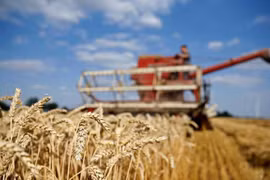 UNCTAD: Triển vọng của kinh tế thế giới xấu đi do xung đột ở Ukraine
