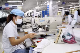 Tờ báo hàng đầu Thụy Sĩ đánh giá Việt Nam là con hổ mới của châu Á