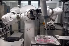 Nhật Bản ứng dụng trí tuệ nhân tạo và robot vào nuôi cấy tế bào iPS