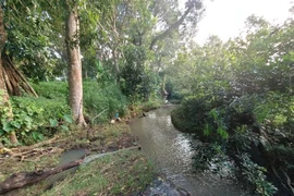 Bình Phước điều tra vụ thi thể người đàn ông đang phân hủy 