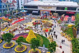 Nhiều điểm mới, lạ trong Hội hoa Xuân 2022 tại Novaland Gallery