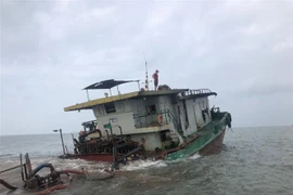 Hải Phòng: Cứu sống 5 thuyền viên trên tàu vận tải bị chìm trên biển