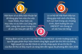 Việt Nam trúng cử thành viên Ủy ban liên Chính phủ Công ước UNESCO