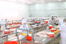 Thêm hơn 1 tỷ USD vốn FDI được “rót” vào Thành phố Hồ Chí Minh