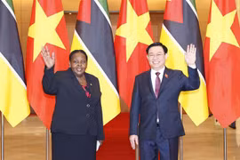 Việt Nam đặc biệt coi trọng quan hệ hợp tác, hữu nghị với Mozambique