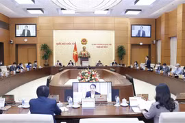 Giám sát sắp xếp đơn vị hành chính cấp huyện, cấp xã từ 2019-2021