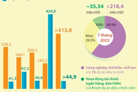 Việt Nam đầu tư ra nước ngoài gần 360 triệu USD 7 tháng năm 2022