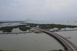 Bà Rịa-Vũng Tàu phối hợp tăng tốc các dự án trọng điểm