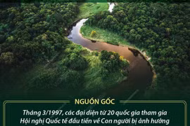 [Infographics] Ngày Quốc tế hành động vì các dòng sông 14/3
