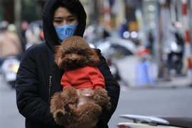 Không khí lạnh gây mưa rét trên đất liền, nhiều vùng biển nguy hiểm