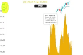 [Infographics] Đồng bitcoin bất ngờ tăng vọt lên mức 43.000 USD