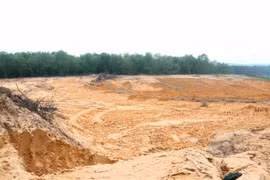 Quảng Trị: Chính quyền lơ là, các đối tượng ồ ạt đào đất rừng đem bán