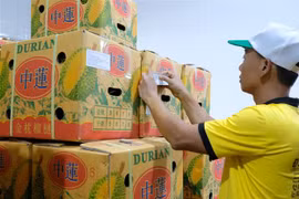 Kinh tế 2022-2023: Thời cơ của các mặt hàng nông sản Việt Nam