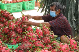 Doanh nghiệp Việt Nam tăng cường hiện diện tại thị trường Ấn Độ