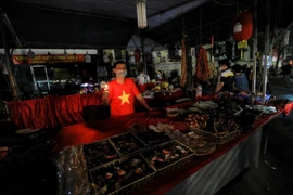 Nhiều khu vực ở Thủ đô Hà Nội tắt đèn hưởng ứng Giờ Trái Đất 2022