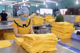 Chuyên gia WB: Việt Nam có thể là nước hưởng lợi nhiều nhất từ RCEP