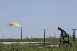 Mức chi trả cổ tức doanh nghiệp trên toàn cầu tăng cao kỷ lục 