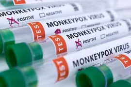 EU cấp phép sử dụng vaccine của Bavarian Nordic phòng đậu mùa khỉ