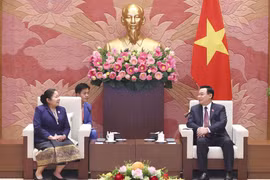 [Photo] Chủ tịch Quốc hội tiếp Trưởng Ban Tổ chức Trung ương Lào