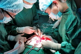 Ảnh chỉ có tính minh họa. (Ảnh: Dương Ngọc/TTXVN)