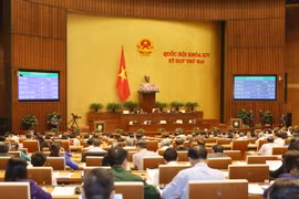Quốc hội thông qua dự án luật. (Ảnh: Phương Hoa/TTXVN)