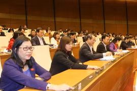 Các đại biểu Quốc hội tỉnh Bình Thuận bấm nút thông qua Nghị quyết. (Ảnh: Trọng Đức/TTXVN)