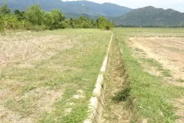 Kênh mương ở thị xã Ninh Hòa, Khánh Hòa không còn nước để phục vụ sản xuất lúa vụ Hè Thu 2016. (Ảnh: Nguyên Lý/TTXVN)