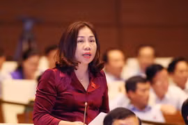 Đại biểu Quốc hội Hà Nam Trần Thị Hiền phát biểu ý kiến. (Ảnh: Nguyễn Dân/TTXVN)